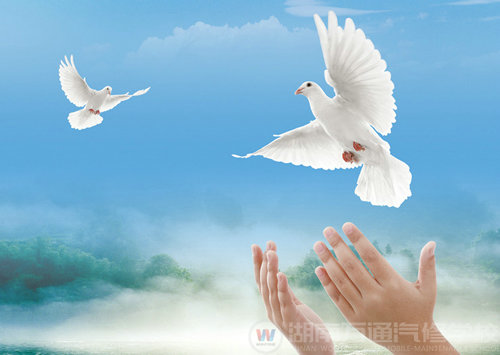 湖南萬通 夢(mèng)想起航的地方