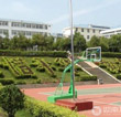 回家的感覺真好
