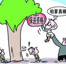 “拼爹”造就官場“童工” 自強(qiáng)成就職場精英