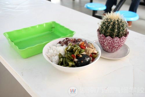 湖南萬通干凈的飯菜