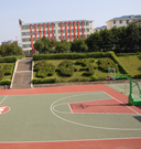 學(xué)校標準籃球場