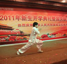 2011年國慶匯演
