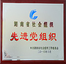 湖南省社會組織祝中國共產(chǎn)黨成立95周年暨 “七一”表彰大會召開