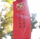 鬧元宵，猜燈謎，萬通元宵喜樂會