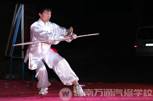 武術(shù)《七星拳》