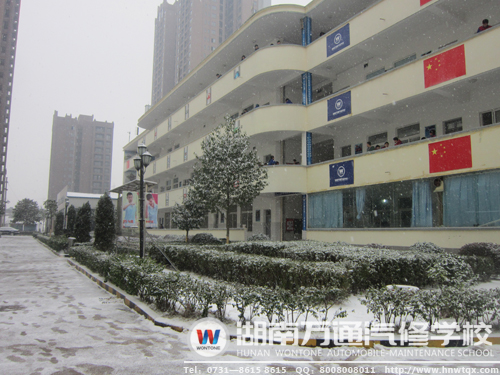 雪中的校園