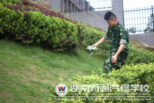 在片刻的歇息時(shí)間里，帥哥新生不是坐著休息，而是拾起了飄到草叢中的垃圾