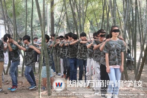 “仙人指路”，講究的是一種默契！