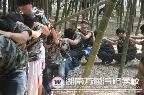 跟著仙人走，不怕沒路走