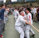 “心的凝聚 力的較量” 校園拔河比賽強(qiáng)勢(shì)來襲！