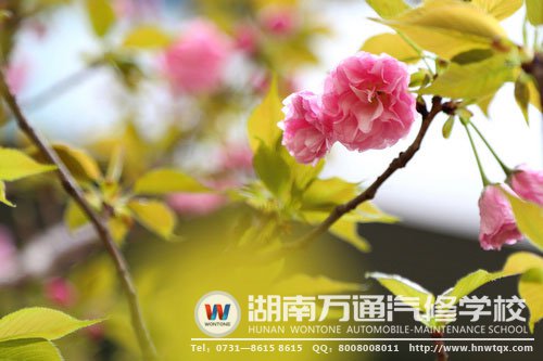 美，處處都有