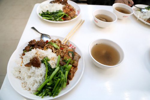湖南萬通以優(yōu)美的校園環(huán)境，迎接新生來校學(xué)習(xí)