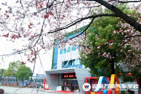你的『偏見』可能會(huì)耽誤孩子的未來！