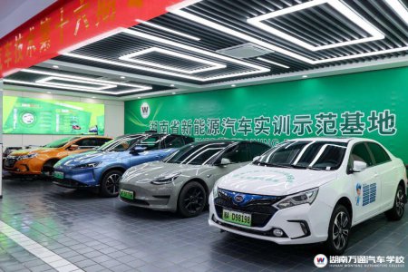 對(duì)標(biāo)企業(yè)需求培育新能源汽車技能人才