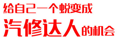 (bo)